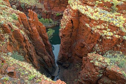 暸望,红色,峡谷,连通,水池,卡瑞吉尼国家公园,区域,澳大利亚