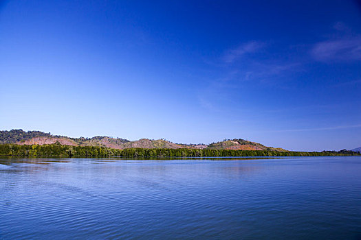 红树林,树,岛屿,风景,海洋