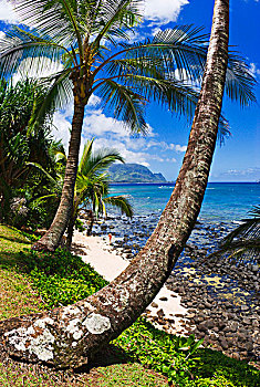 海滩,纳帕利海岸,北岸,岛屿,考艾岛,夏威夷,美国