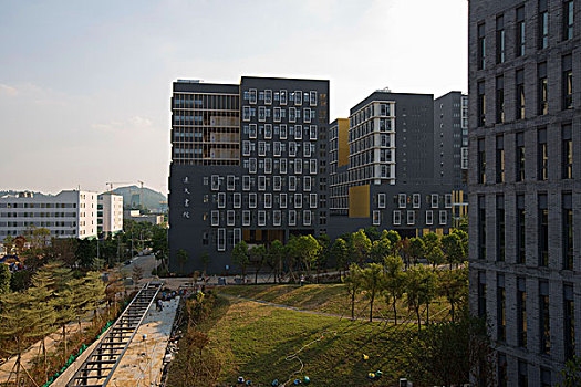 香港中文大学,深圳