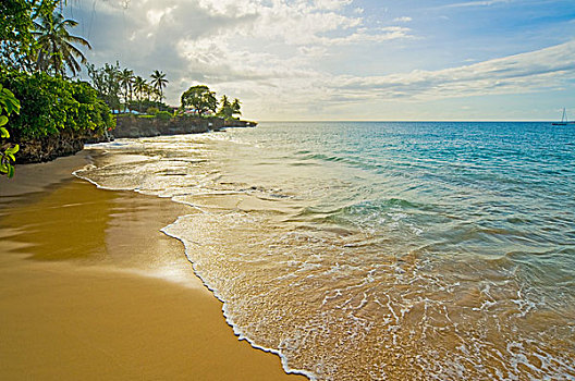 自然风光,海滩,海洋,多巴哥岛