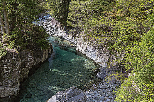 山谷,长野,日本