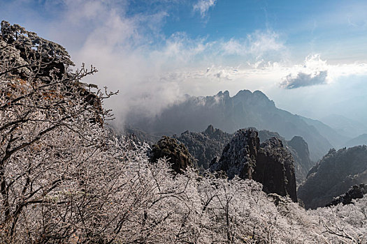 黄山雾凇