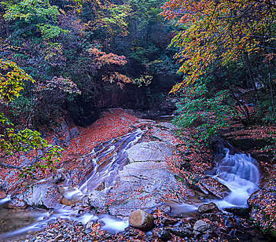 光雾山十八月潭风光