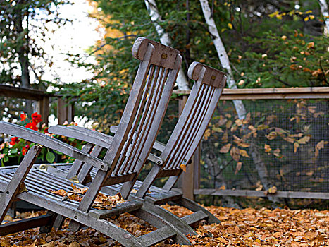 休闲椅,平台,湖,木头,安大略省,加拿大