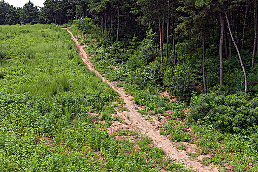 山路