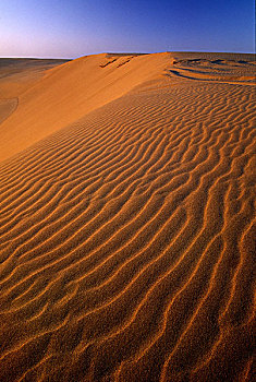 沙丘,沙漠,景色,区域,俄勒冈,国家休闲度假区,美国