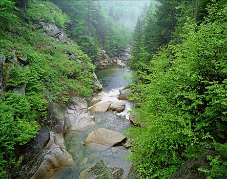 河,弗兰科尼亚山峡州立公园,新罕布什尔,美国