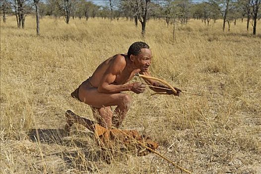 使用,弓箭,纳米比亚,非洲