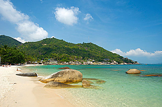 珊瑚,小湾,苏梅岛,岛屿,泰国,亚洲