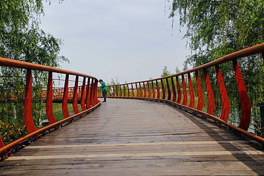 太湖湿地,栈桥