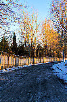 冬季清晨的小路