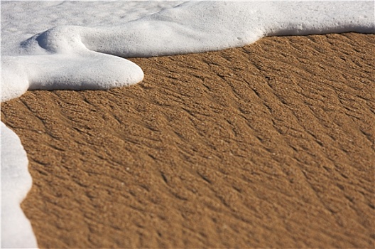 热带,沙子,海水泡沫