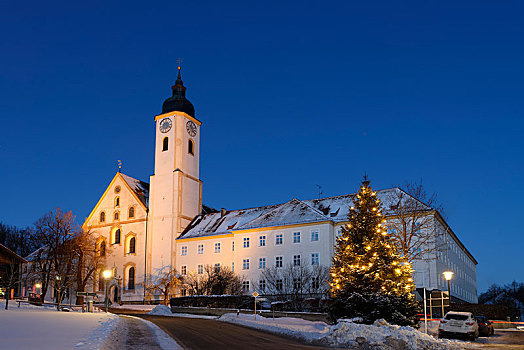 光亮,圣诞树,正面,寺院,教堂,黎明,上巴伐利亚,巴伐利亚,德国,欧洲