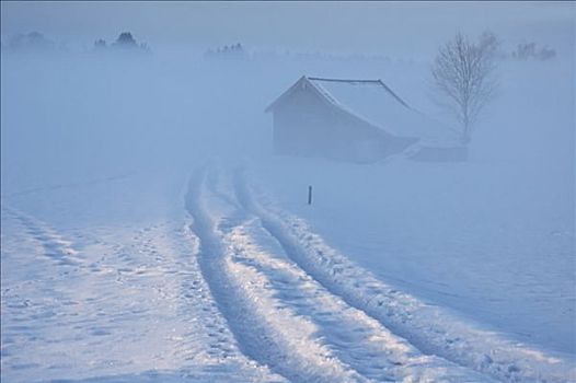木屋,小路,雪景,雾