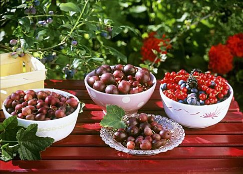 种类,浆果,小碗,花园桌