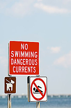 标识,禁止,游泳,危险,狗,拴狗绳