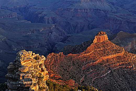 山岗,指点,第一,晨光,鲜明,天使,峡谷,小路,大峡谷国家公园,南缘,亚利桑那,美国