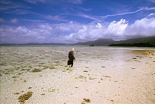 男人,走,海滩,石垣岛,日本