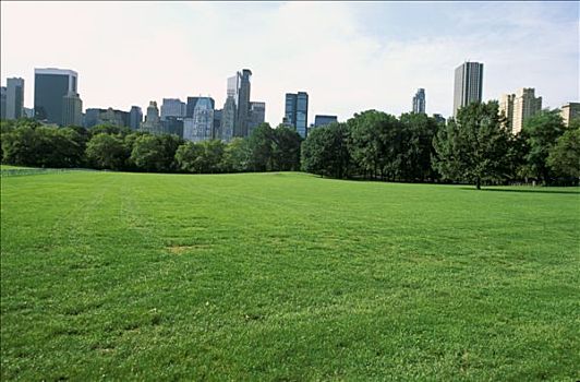 纽约,城市,中央公园,草地,树,建筑,背景,阴天