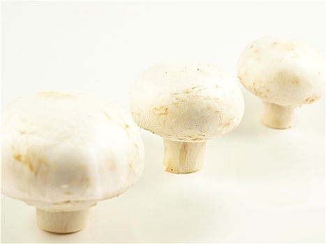 洋蘑菇,西芹