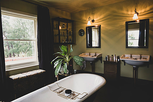 内景,浴室,黑色,镜子,上方,两个,维多利亚时代风格,水池架,绶带,窗户,上面,黄铜
