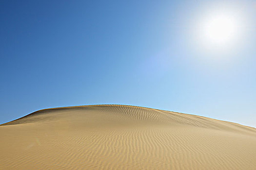 沙丘,太阳,沙子,海洋,利比亚沙漠,撒哈拉沙漠,埃及,北非,非洲