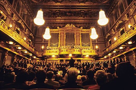 奥地利,维也纳,音乐厅,室内,管弦乐,合唱,观众