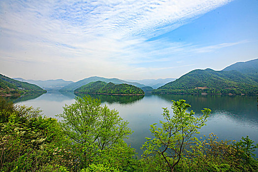 水库,山水,生态