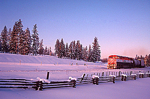 列车,中心,日落,不列颠哥伦比亚省,加拿大