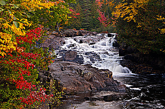 瀑布,国家,塔伯拉山,省立公园,魁北克,加拿大