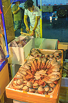 蛤,水产品,市场,夏天,早晨,广州