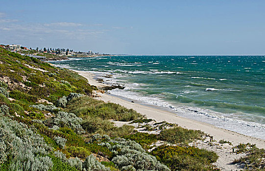 漂亮,海岸线,石头,北方,海滩,区域,佩思,西澳大利亚州