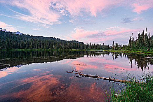 日落,反射,湖,雷尼尔山国家公园,华盛顿,美国