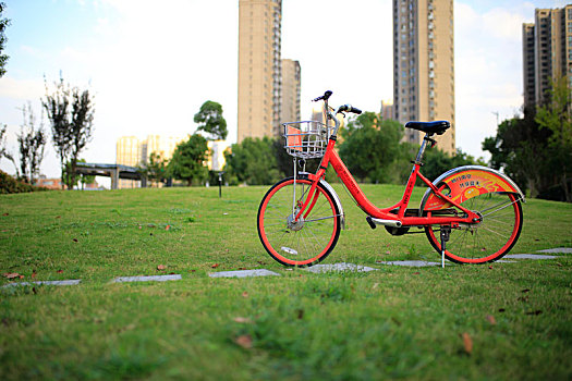 城市公园里的公共自行车,南京市公共自行车