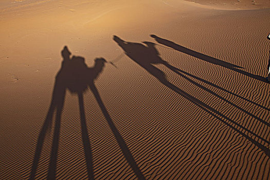 非洲,北非,摩洛哥,撒哈拉沙漠,梅如卡,却比沙丘,游客,骑,骆驼,影子,沙子
