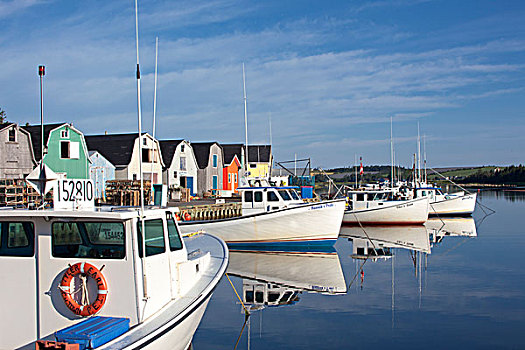 渔船,反射,爱德华王子岛,加拿大