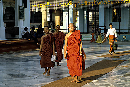 缅甸,仰光,瑞光大金塔,僧侣,藏红花,长袍,走,庙宇,地面