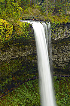 南,瀑布,银色瀑布州立公园,俄勒冈,美国