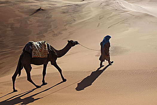非洲,北非,摩洛哥,撒哈拉沙漠,却比沙丘,部落男人,骆驼