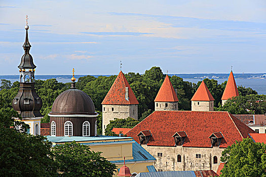 塔,城市,墙壁,波罗的海,后面,风景,视点,城镇,塔林,爱沙尼亚,欧洲