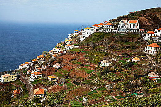 乡村,海岸,靠近,马德拉岛,葡萄牙,欧洲