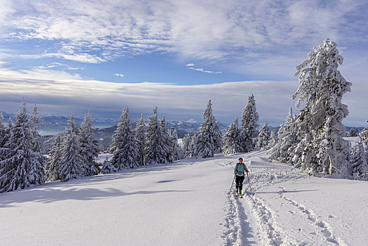 上升,上方,滑雪,旅游,下奥地利州,奥地利,欧洲