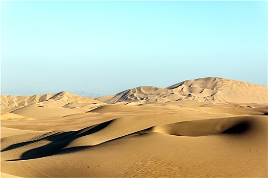 干燥,沙漠,沙丘