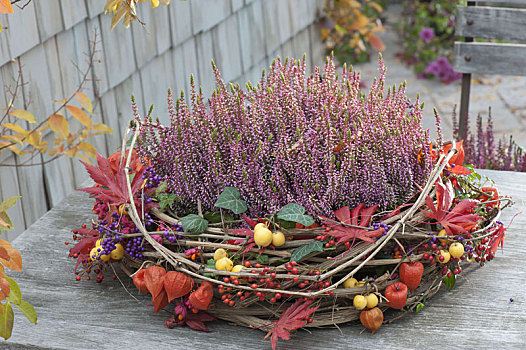 秋季花环,铁线莲,卷须,装饰,枫树,叶子
