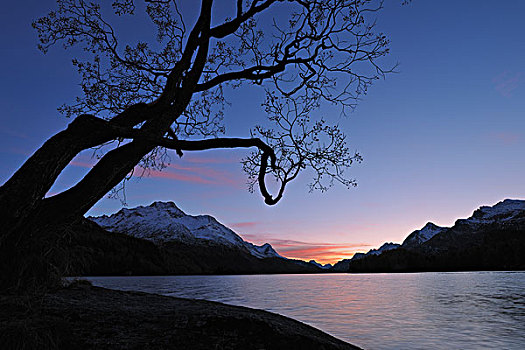 日落,湖,蒙特卡罗,恩加丁,地区,瑞士