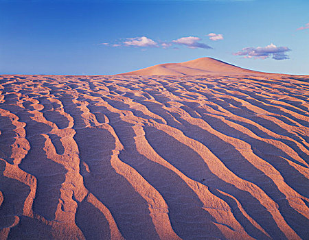 加利福尼亚,沙丘,莫哈维沙漠,日落,大幅,尺寸