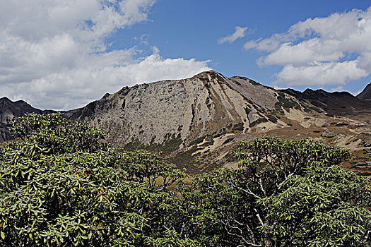 高原小景