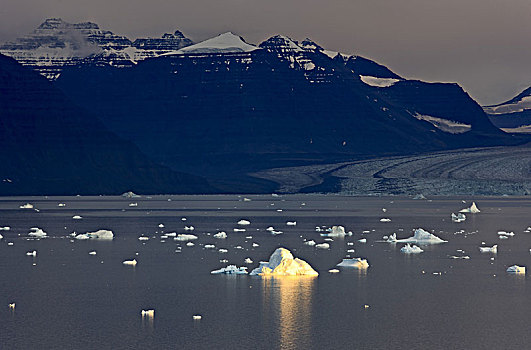格陵兰,东方,冰山,沿岸,风景,山景,冰河