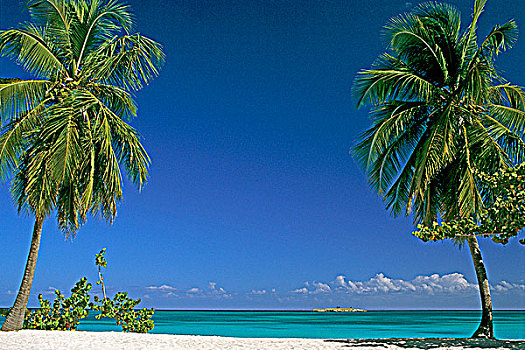 西印度群岛,瓜德罗普,玛丽-嘎兰特群岛,风景,堡垒,海滩